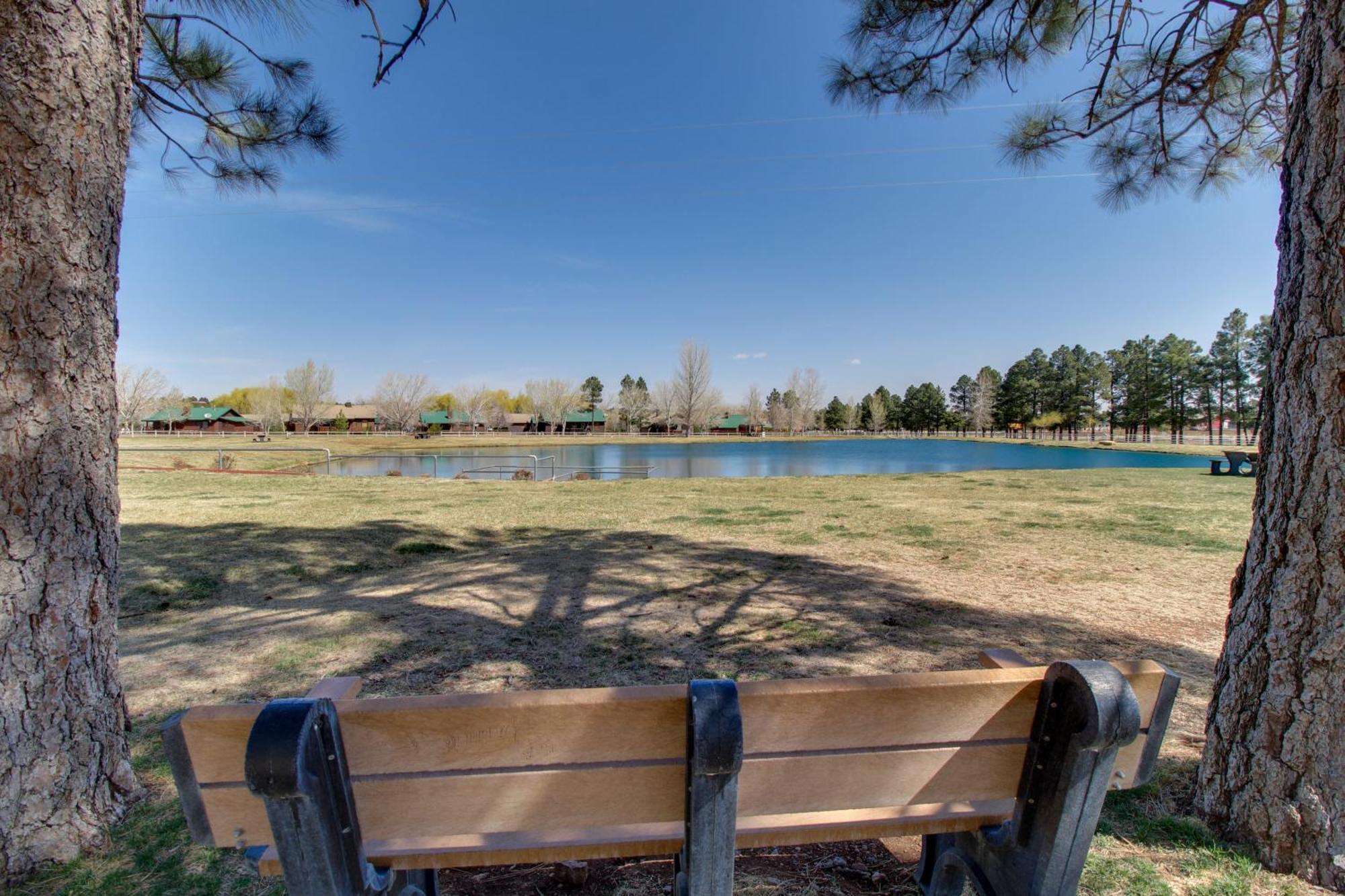Overgaard Cabin Near Sitgreaves National Forest! Ngoại thất bức ảnh